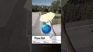 Secret Bat Plane 🤫🦇