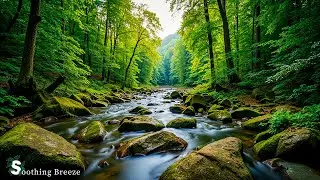 Feel the Stress Melt Away &ndash; Relaxing Music for Inner Peace and Clarity
