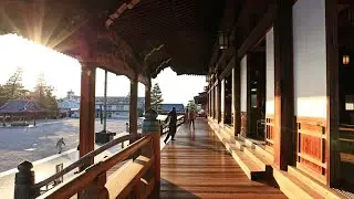 【神の意に背く人の常識】自身に親心をどうおかけ下さっているかを感じる事。天理教富河分教会長、別府正規。春季大祭講話