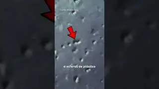 KINESINAS: Las prote&iacute;nas que CAMINAN 🥹