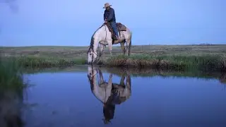 Grasslands: North-America's hidden Wilderness
