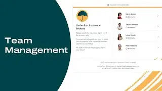 An Overview of Team Management For Online Scheduling