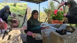 تنظيف وتعزيل المزرعة الصيفية،بناء موقدة للطبخ،أسرار تقوية التربة للزراعة والأزهار|روتين ريفي🔥
