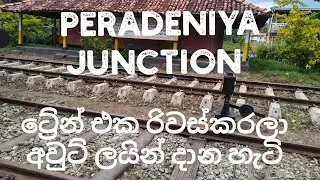 ට්‍රේන් එක රිවස්කරලා අවුට් ලයින් දාන හැටි👍@Peradeniya Railway Junction In Srilanka 🇱🇰