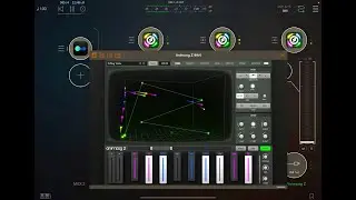 Animoog Z - Riffer - Noir - AUv3 Set-Up & All Patches Played From Evolving Oscillations Expansion