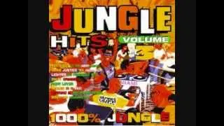 DJ SS feat Shabba Ranks-Wicked In a Bed