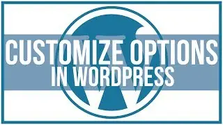 How To Customize Options in WordPress