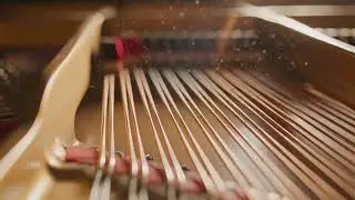 Elegant Jazz Piano for Wedding Reception – Ideal for Special Day