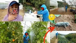 فلوك بين الخيم شوفو 😱صلاح شو 🦦صيد ورشنا🌱🍅 دوه خيم 