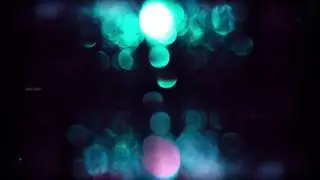 [Electronica] Epic Nao - Dance