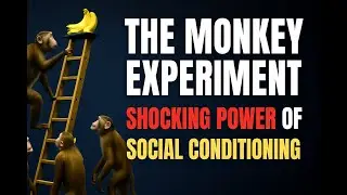 Vedanta vs Blind Tradition: The Monkey-Ladder Banana Experiment
