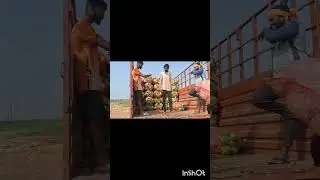 Cabbage Harvest in My Farm Land | Indian Farming