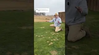 The Truth about the Grass Blocks