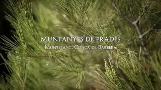 Muntanyes de Prades (Montblanc, Conca de Barberà)