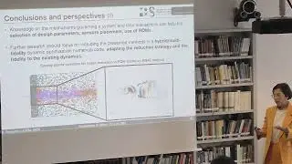 [PhD] S. Costanzo - Numerical methods for control and optimisation of fluid flows