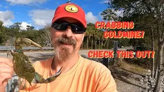 Ring Traps & Chicken Legs: Blue Crab Catching Success!