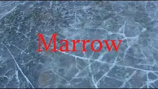 Marrow
