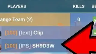playing with a IPS clan member (Roblox bedwars)