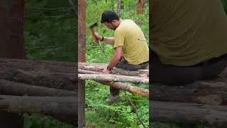Building a Bushcraft Tree House | Building in the wild forest | Cozy TREE HOUSE  #treehouse