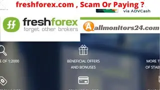 freshforex.com, Reviews Scam Or Paying ?