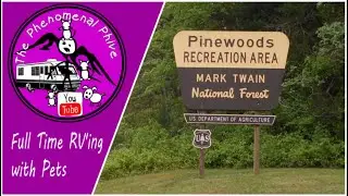 RV'ing With Pets - Pinewoods Lake Campground - Review