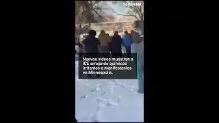 Nuevos videos muestran a ICE arrojando qu&iacute;micos irritantes a manifestantes en Minneapolis