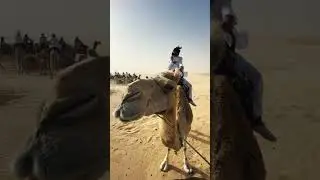 Grace's Time Travel Diary | The U S Army Camel Corps | A Desert Experiment #shorts  #westerndrama
