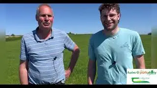 Paddock sizes on Co. Mayo farm 