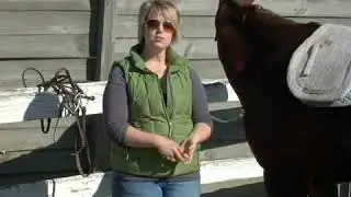 How to Use Saddle Pads for an English Saddle