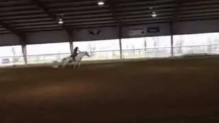 maddie and ace march 8