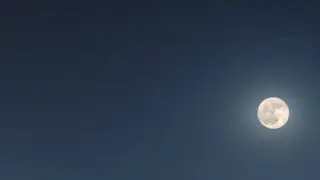 مابين الدروب … القاء نبطي
