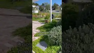 Creating a Stunning Waterwise Native Garden in Perth