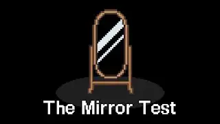 The Mirror Test (RPG Maker Horror Game)