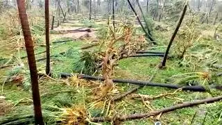 Titli cyclone at palasa