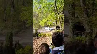 Accident Ford team on WRC Croatia