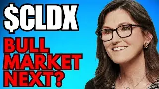 CLDX Stock TUESDAY NEWS! (alert update) CLDX stock trading broker