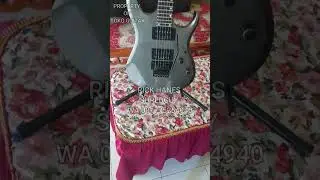 GITAR RICK HANES SHREDGUY INCLUDE ORIGINAL GIGBAG (FOR SALE)