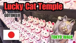 Храм счастливой кошки Готокудзи – история и скрытые чары [TOKYO WALK]