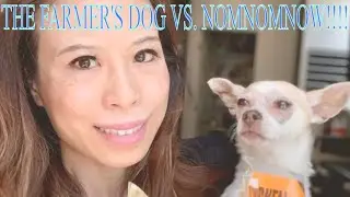 Review: The Farmer&rsquo;s Dog vs. NomNomNow