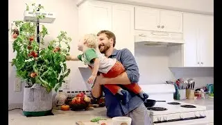 Seedsheet: The Future of Food