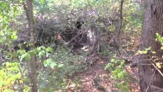 The Lost City - UW-Madison Arboretum