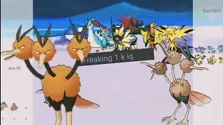 Dodrio Sweeps Teams | weakness policy hits #pokemonshowdown