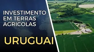 Terras Agr&iacute;colas no Uruguai | Diversifica&ccedil;&atilde;o de Investimentos | Teoria das Bandeiras
