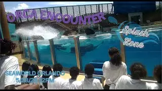 Orca Delayed Show 12pm 5/28/25 & Dolphin Nursery Training