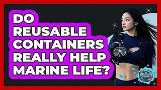 Do Reusable Containers Really Help Marine Life?