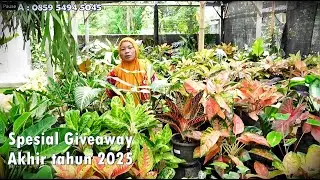 Stok Akhir tahun Josh2 Cantik2  -  Giveaway-nya Mantap