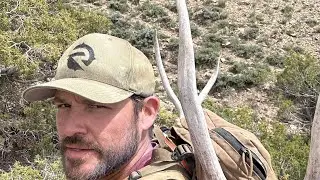 Freeze dried elk backcountry meals