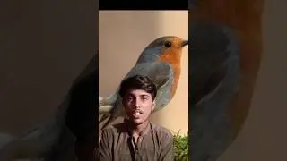 ap Ka phone brids /parndo ko mar Raha he#facts #foryou