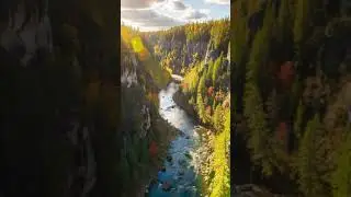 #EverCalm  #calm   #relax  #nature  #peace  #naturesounds      #relaxingvideos   #sleepsounds