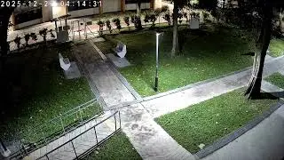 27 Dec 2025 at 4.12am - Loud rooster crowing at Blk 223 Toa Payoh Lor 8 Singapore 